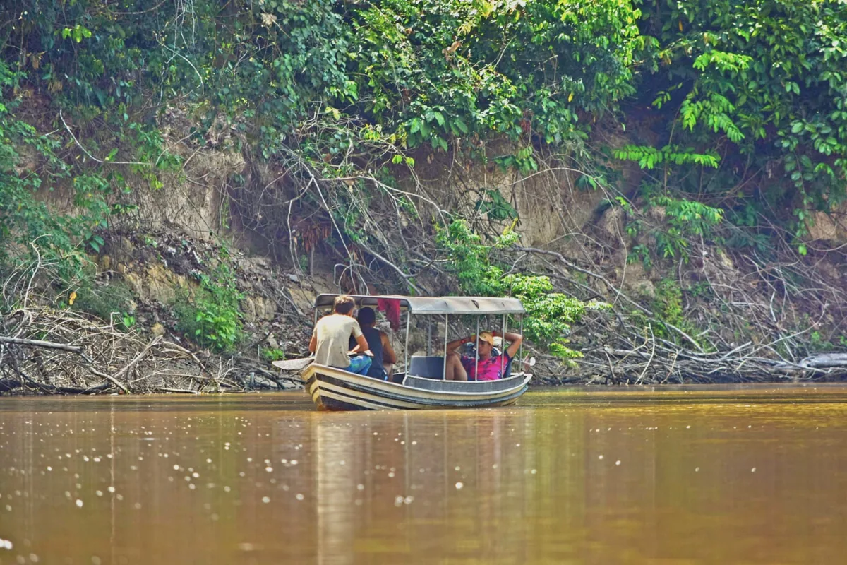 Pessoas em um barco no rio, junto à margem florestada.